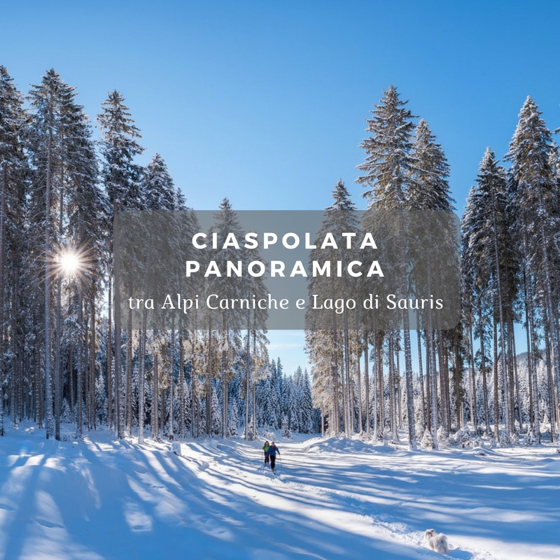Foto quadrata (nosnow).jpg